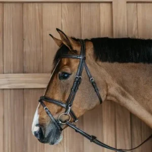 Bridon muserolle combinée avec mousquetons - Dy'on