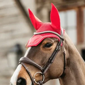 Bonnet Velvet - Kentucky