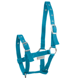 Licol Pour Poulains - Waldhausen