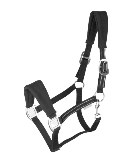 Licol Alcantara - Waldhausen – Image 2