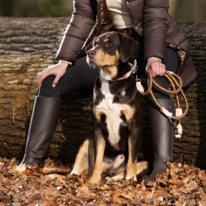 Collier pour chien HKM Anam Cara Corde