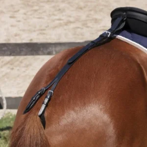 Croupière Norton Club