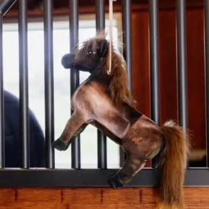 d4sdf.jpgv1717881833 Jouet Relaxant Tableux - Kentucky