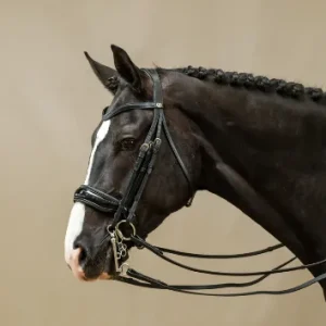 Bride Muserolle Large Vernie Working - Dy'on