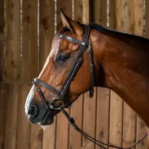 Bridon Muserolle Combinée Avec Mousqueton - Dy'on