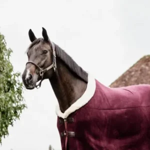 Chemise Séchante Show Fleece Heavy - Kentucky