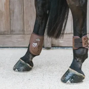 Protège-boulet élastique - Kentucky