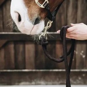 Longe Rope Loop - Kentucky