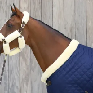 Longe De Présentation - Kentucky