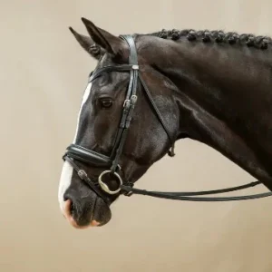 Bridon Muserolle Combinée Large - Dy'on