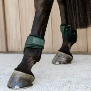 ddb.jpgv1716033082 Protège-boulet "jeunes chevaux" Velvet- Kentucky