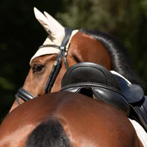 decoration-selle-equitation-poney-cheval-qhp-fading-beige1.jpgv1711546426 Décoration de selle QHP Fading