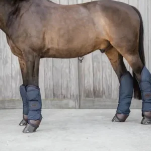 Protection De Transport -  Kentucky