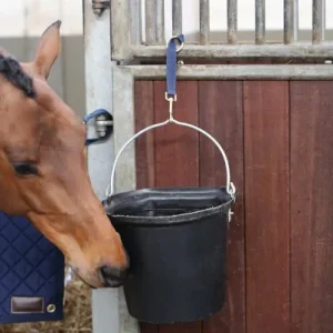 Lanière D'attache Nylon Mousqueton Et Anneau - Kentucky