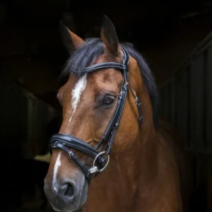 Bridon Pro "Design" - Éric Thomas