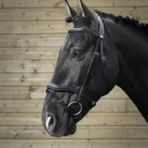 Bridon Pro "Découpé" - Norton