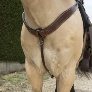 Collier De Chasse Western Randol's Surpiqué - Westride