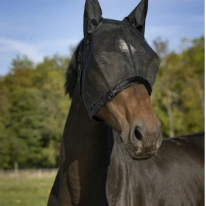 dfdsfsd.pngv1705014095 Masque Anti Mouche Mesh - Equitheme