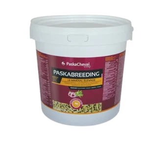 PaskaBreeding - PaskaCheval