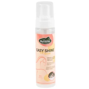 Easy Shine Mousse Détachante - Ravene