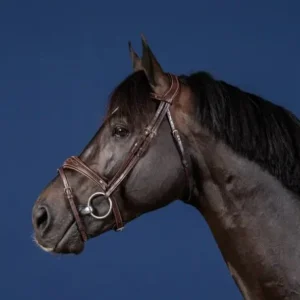 Bridon Muserolle Combinée Anatomique - Dy'on