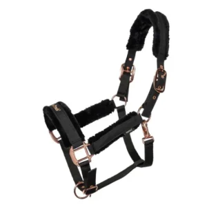 Licol Haze - Back On Track