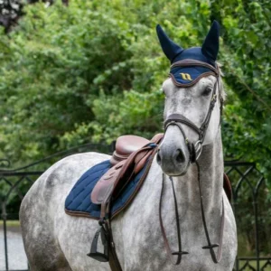 Bonnet Airflow - Back On Tack