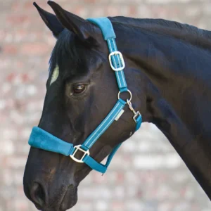 Licol Alcantara - Waldhausen