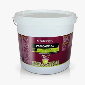 Paskafoal - PaskaCheval