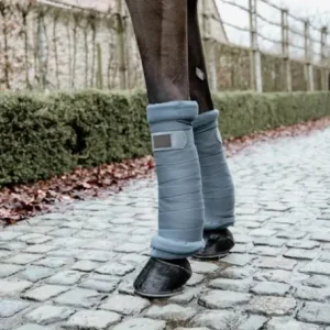 Cotons Américains - Kentucky