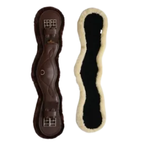 Sangle Anatomique courte mouton - Kentucky