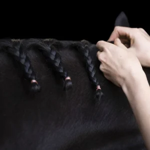 Elastiques à crinière Imperial Riding