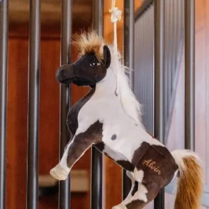 Jouet Relaxant Alvin - Kentucky