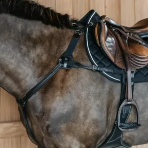 Le Collier De Chasse 5 Attaches New English - Dy'on