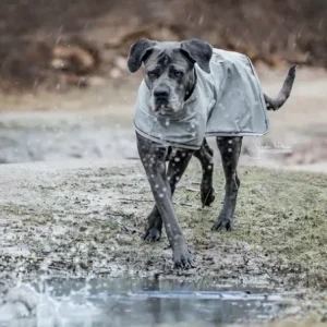 Veste Imperméable - Kentucky