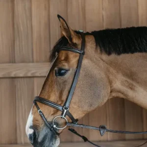 Bridon D'entrainement Working - Dy'on