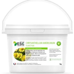 CHRYSANTELLUM AMERICANUM – Engorgement  - ESC Laboratoire