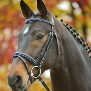 Bridon Diamond - Star