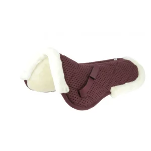 Amortisseur "Pro Air"  - Equitheme