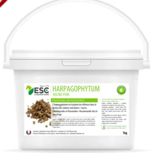 Harpagophytum, Raideurs et sensibilité articulaire cheval - ESC Laboratoire