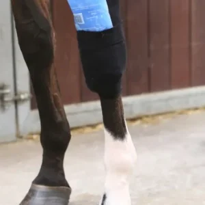 Tendon Grip Chaussette - Kentucky