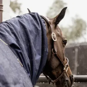 fd5b4.pngv1716237138 Echarpe Imperméable Classic - Kentucky