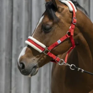 Licol Mouton Synthétique - Riding World