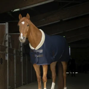 Chemise Mesh Teddy - Equitheme