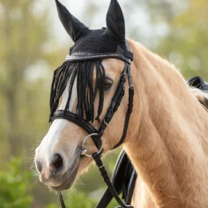 Bonnet D’oreilles À Franges - Waldhausen