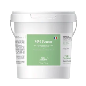 MM Boost - Allo Naturel