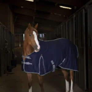 Chemise Sweat - Equitheme