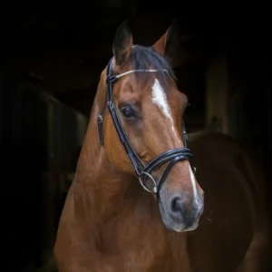 Bridon Pro "Strass" - Éric Thomas