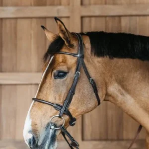 Bridon Cuir Rond - Dy'on