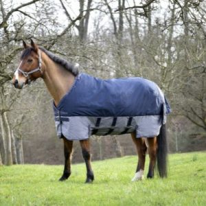 Chemise Tyrex New 600D  Belly belt - Equitheme
